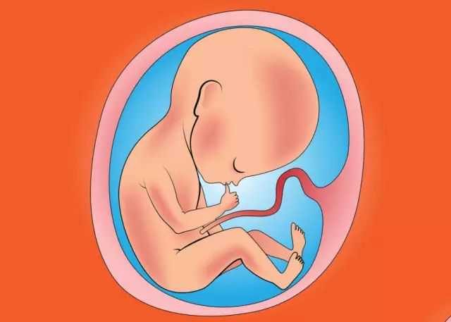 广州单身人士到代孕，广州单独二胎准生证办理流程